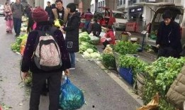 半山小镇爆料最新消息新闻,揭秘神秘事件背后的真相